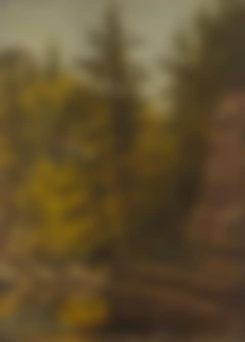 "Mountain Brook" (preview)
