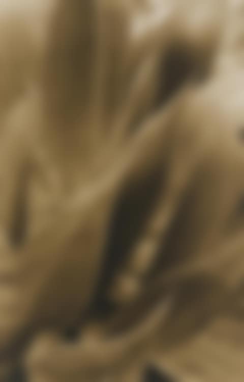 Sepia-toned Botanical Photographs (three works); Agave plants (preview)