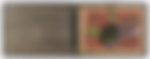 "Look at it on a Rainy Day (Regentag Portfolio)," (preview)