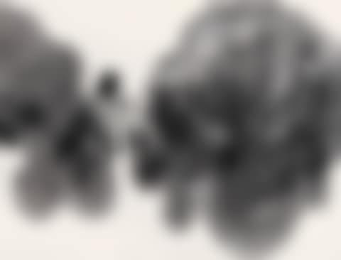 Landscape (preview)