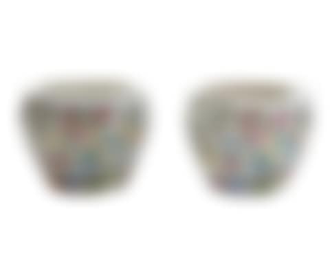 A pair of Chinese porcelain fish bowls (preview)