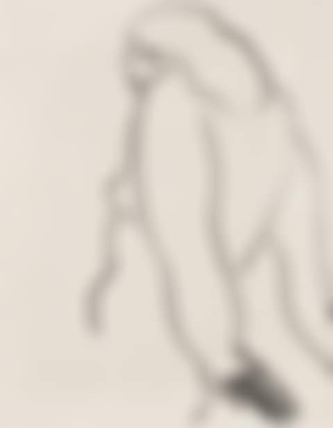 Nude Woman (preview)