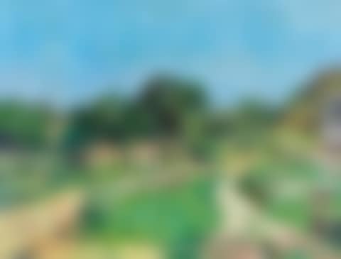 Village (preview)