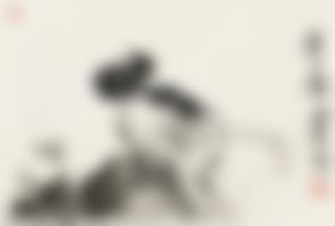 Cat (preview)
