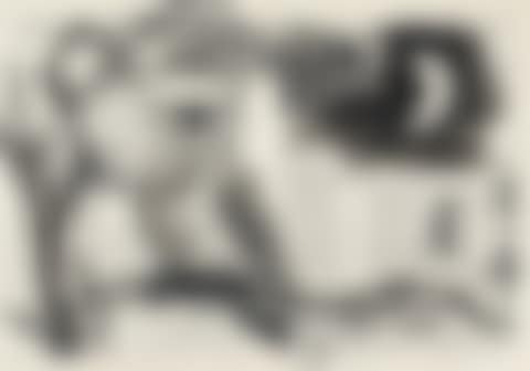 Owl (preview)
