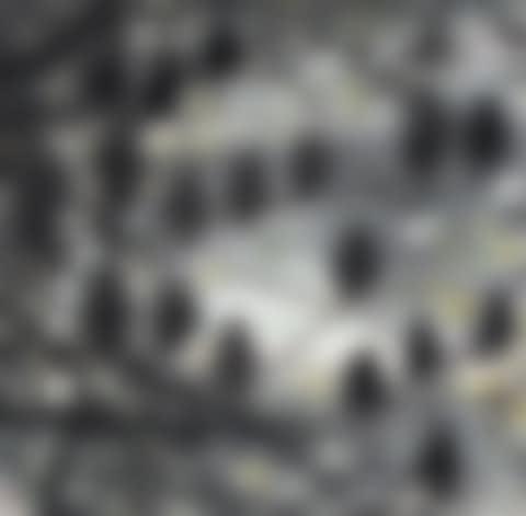 Birds (preview)