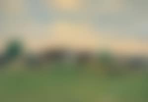 The Village (preview)