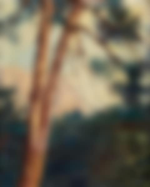 Pine Tree (preview)