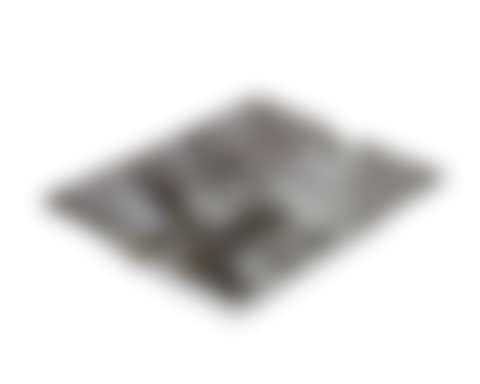 Untitled (Wanderer Ashtray) (preview)