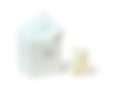 UNDERCOVER BEAR COMPANION (White) (preview)