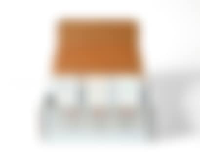 LIMITED EDITION XX (preview)