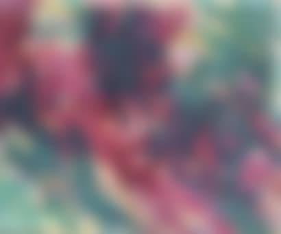 UNTITLED (preview)
