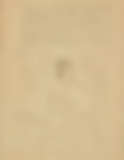 PAINTING DEALER (preview)