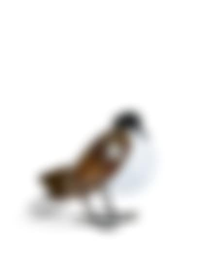 “PIGEON” LAMP (preview)