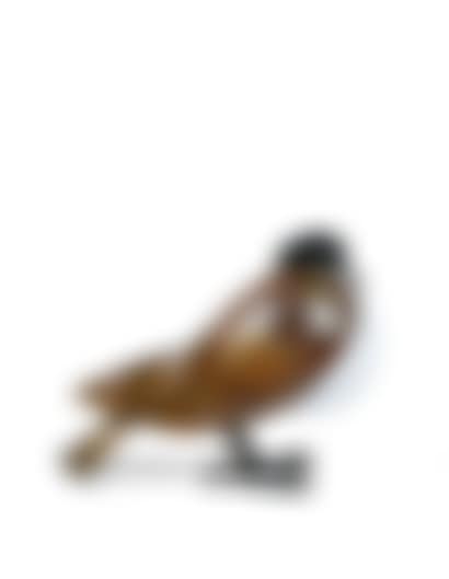 “PIGEON” LAMP (preview)