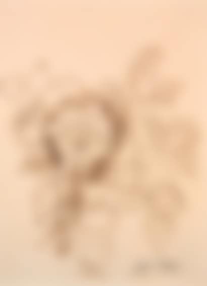 Bouquet of flowers (preview)