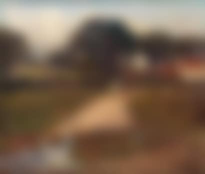 Horses on the path (preview)