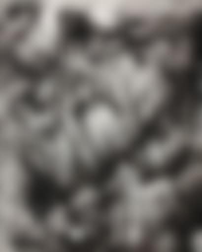 Decalcomania #49 (preview)