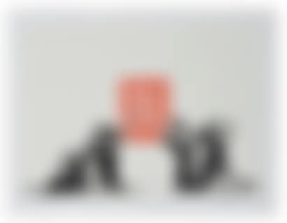 ADJUGE A 50 700 € POUR LA TOTALITE DU LA SET ( n°27-28-29-30-31-32) (preview)