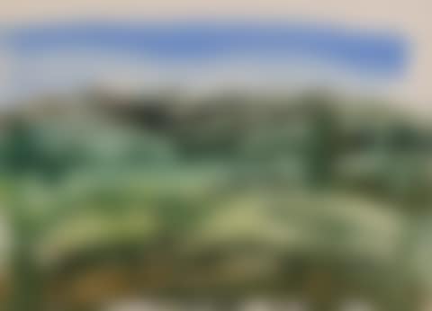 Untitled - Landscape (preview)
