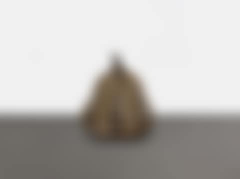 Pumpkin (M)  (preview)