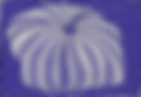 Pumpkin (preview)