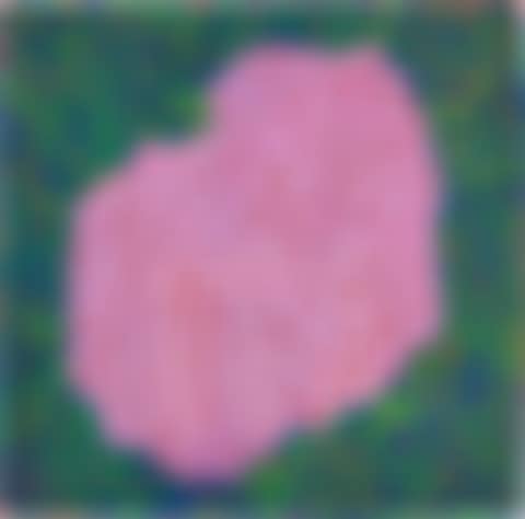 An Island (15)  (preview)
