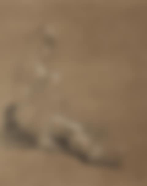 William Etty, RA (preview)