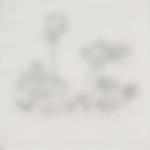 Study for Small Mushroom Painting #6 (preview)