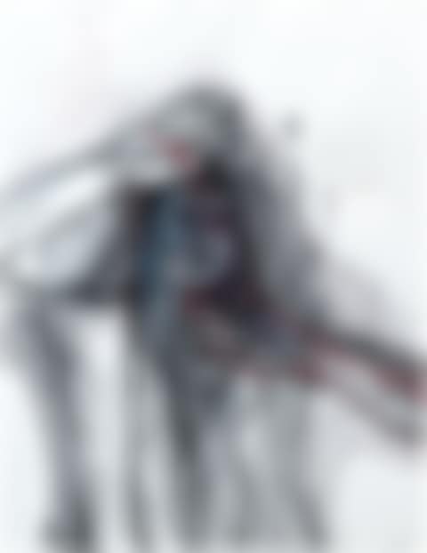 Face (preview)