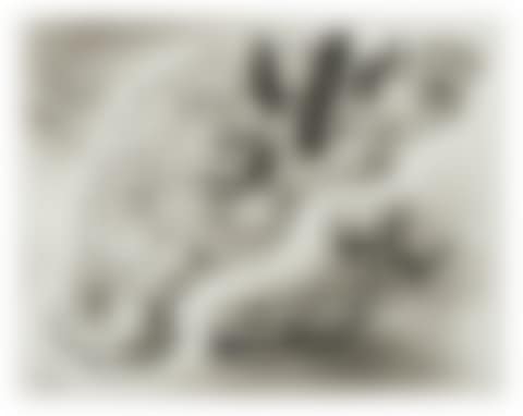 Mysterious Easter Island (preview)