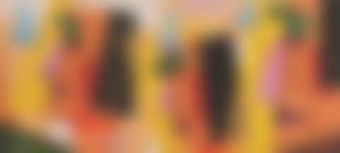 Vemo avante (preview)