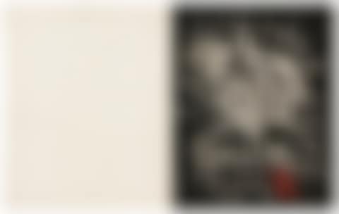 Journal d'un graveur I , II, III (preview)