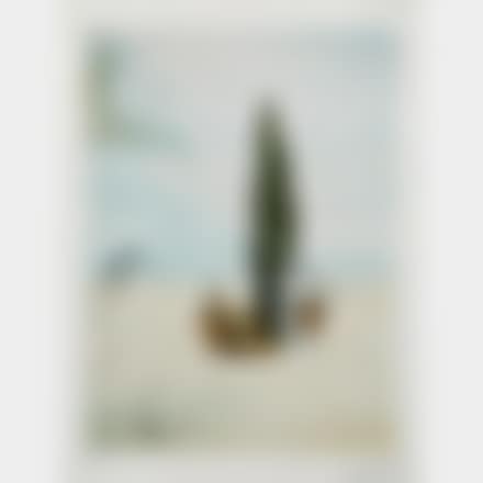 Apparition de ma cousine Carolinetta sur la plage de Rosas (preview)
