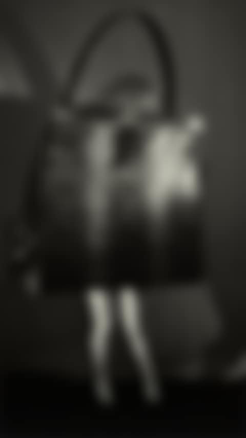 Walking Purse (preview)
