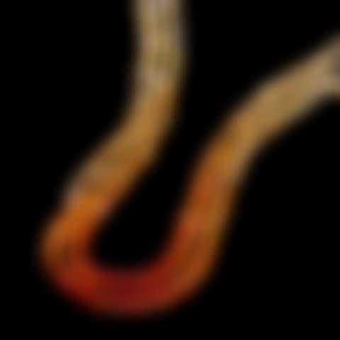 Fire Opal Bead Necklace (preview)
