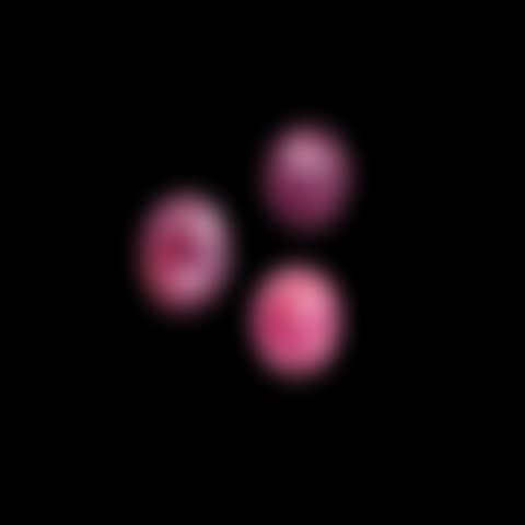 Three Rare Star Spinels (preview)