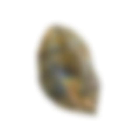 Labradorite Leaf-form Carving (preview)