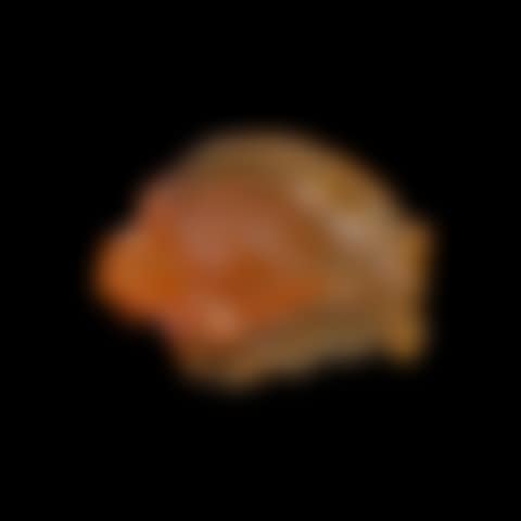 Fire Opal Carving of a Fish (preview)