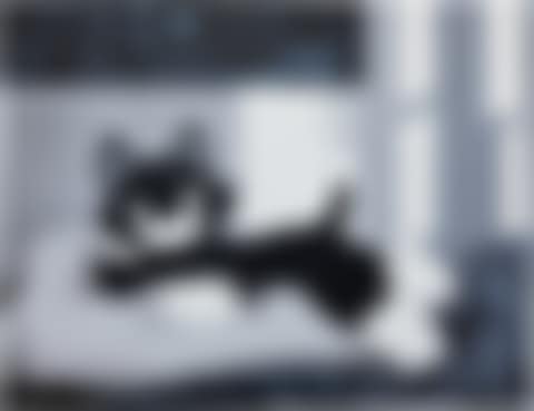 DANG (preview)