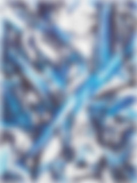 Splitting Horizon No. 10 (preview)