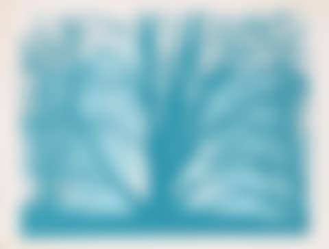 Forest (preview)