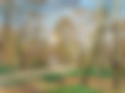 “Frühling, Aus dem Wiener Prater” (Spring, from the Prater in Vienna) (preview)