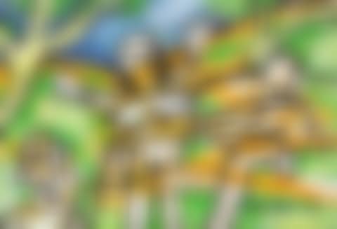 Untitled (preview)