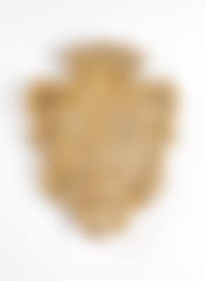 Coat of arms cartouche (preview)