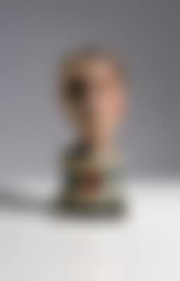 Anatomical model of a male head (preview)