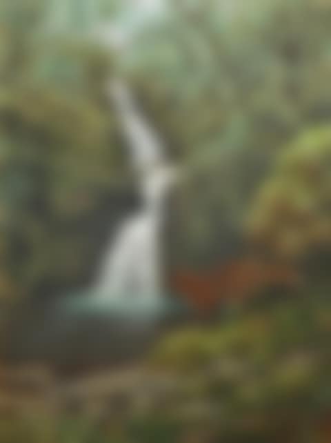 Fox and Jay, O"Sullivan"s Cascade, Killarney (preview)
