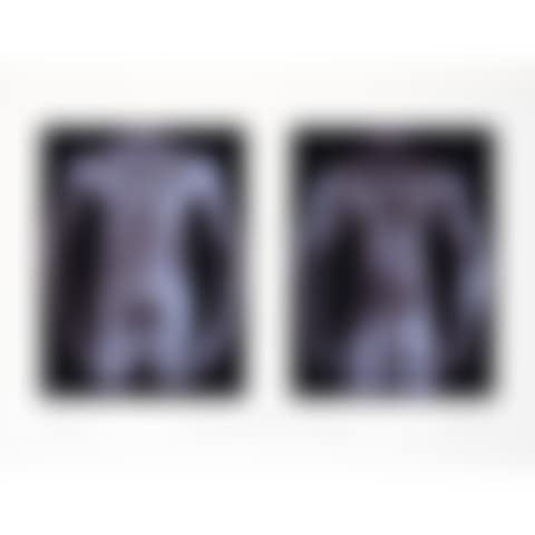 Untitled (In Honor of Peter Hujar), from (preview)