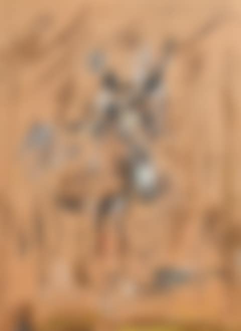 Donkey (preview)
