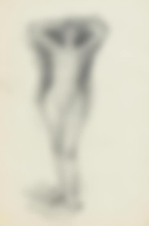 Female Nude (preview)